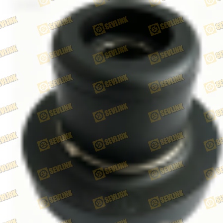cmm1